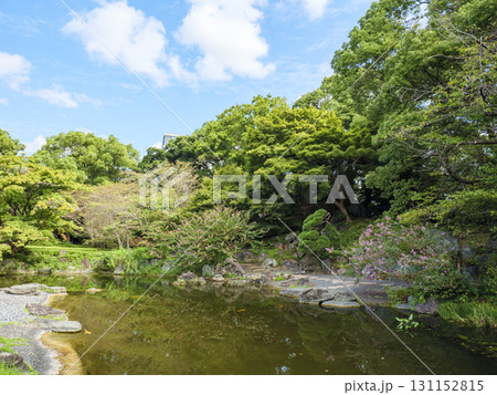 皇居東御苑から見た大手町のビル群 皇居東御苑から見た大手町のビル群 131152815