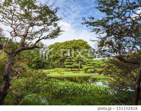 皇居東御苑から見た大手町のビル群 131152818