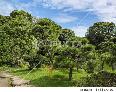 皇居東御苑から見た大手町のビル群 131152830