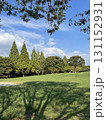 緑豊かな公園 131152931