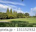 青空の広がる公園 131152932
