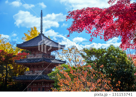 紅葉に包まれた秋の宝積寺 紅葉に包まれた秋の宝積寺 131153741
