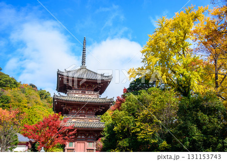 紅葉に包まれた秋の宝積寺 131153743
