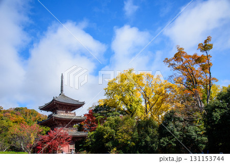 紅葉に包まれた秋の宝積寺 131153744