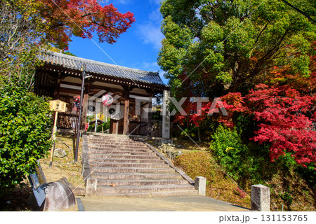 紅葉に包まれる宝積寺の仁王門 紅葉に包まれる宝積寺の仁王門 131153765