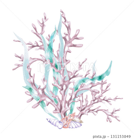 Large corals in seaweed with shells. Isolated watercolor illustration in a fairytale style for children's interiors, cosmetics, clothing prints, and themed holiday designs. 131153849