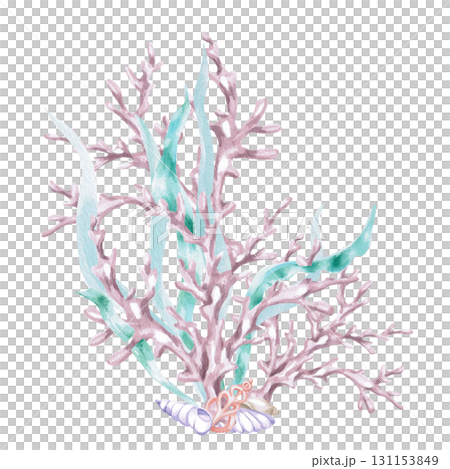 Large corals in seaweed with shells. Isolated watercolor illustration in a fairytale style for children's interiors, cosmetics, clothing prints, and themed holiday designs. 131153849