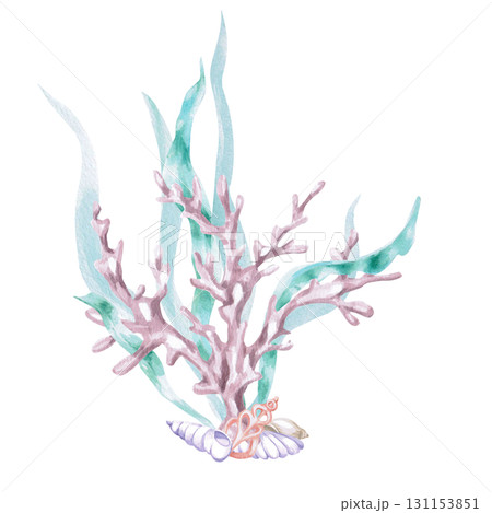 Corals in seaweed with shells. Isolated watercolor illustration in a fairytale style for children's interiors, cosmetics, clothing prints, and themed holiday designs. 131153851