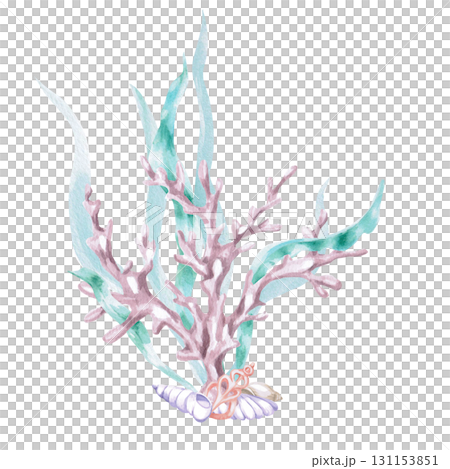 Corals in seaweed with shells. Isolated watercolor illustration in a fairytale style for children's interiors, cosmetics, clothing prints, and themed holiday designs. 131153851
