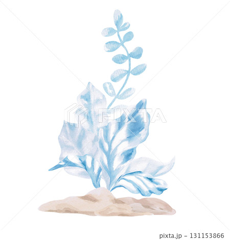 Blue seaweed in the sand. Isolated watercolor illustration in a fairytale style for children's interiors, cosmetics, clothing prints, card designs, and themed holidays. 131153866