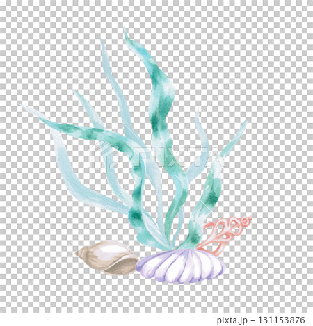 Seaweed with shells. Isolated watercolor illustration in a fairytale style for children's interiors, cosmetics, clothing prints, card designs, and themed holidays. 131153876