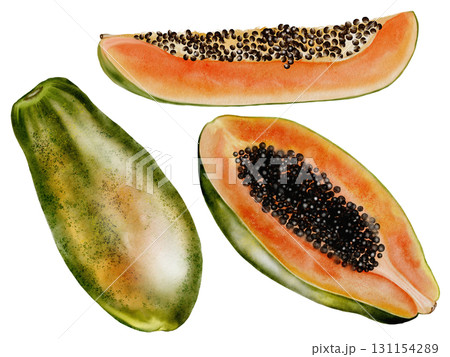 Papaya watercolor set. Hand drawn ripe tropical fruit on white background. Ideal for logo, cosmetics and product packaging 131154289