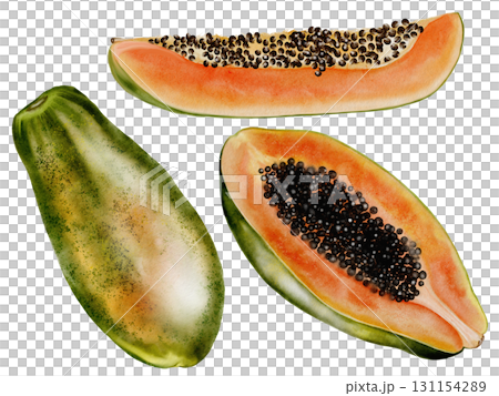 Papaya watercolor set. Hand drawn ripe tropical fruit on white background. Ideal for logo, cosmetics and product packaging 131154289