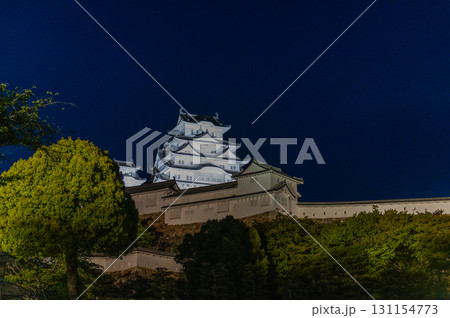夜の姫路城-世界遺産の幻想的な風景 夜の姫路城-世界遺産の幻想的な風景 131154773