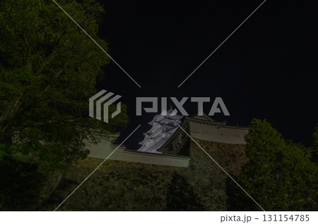 夜の姫路城－世界遺産の幻想的な風景 131154785