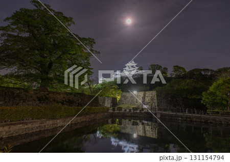 夜の姫路城-世界遺産の幻想的な風景 夜の姫路城-世界遺産の幻想的な風景 131154794