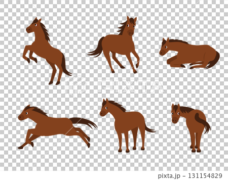 可愛的馬插圖集 131154829