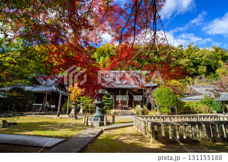 京都　山崎聖天の秋 131155188