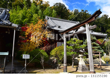 京都　山崎聖天の秋 131155190
