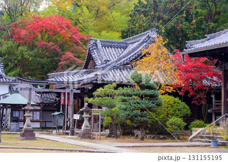 京都　山崎聖天の秋 131155195
