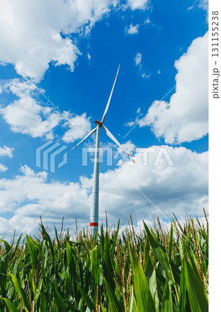 Majestic wind turbine stands tall above vibrant green cornfield under a bright blue sky adorned with fluffy white clouds Majestic wind turbine stands tall above vibrant green cornfield under a bright blue sky adorned with fluffy white clouds 131155238