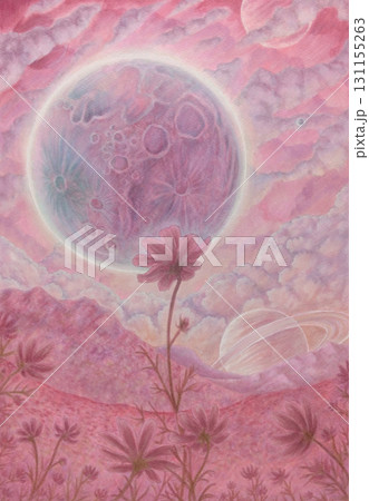 星とコスモス 131155263