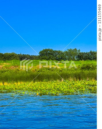 Bright summer day on a tranquil lake with lush greenery reflecting on the calm water Bright summer day on a tranquil lake with lush greenery reflecting on the calm water 131155469