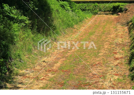 石垣と堀が残る青空の九戸城跡 《岩手》 石垣と堀が残る青空の九戸城跡 《岩手》 131155671