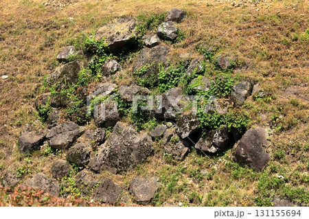 石垣と堀が残る青空の九戸城跡 《岩手》 石垣と堀が残る青空の九戸城跡 《岩手》 131155694