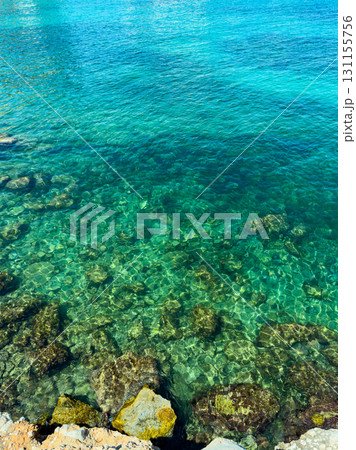 Clear blue water reveals vibrant marine life beneath the surface near rocky shore during bright sunny day Clear blue water reveals vibrant marine life beneath the surface near rocky shore during bright sunny day 131155756