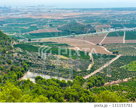 Rolling hills of vineyards and orchards near power lines under a clear sky in a sunlit landscape Rolling hills of vineyards and orchards near power lines under a clear sky in a sunlit landscape 131155781