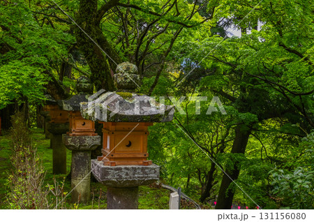長谷寺-シャクナゲ咲く古刹の風景 長谷寺-シャクナゲ咲く古刹の風景 131156080