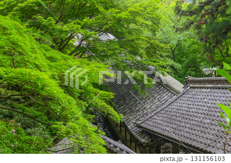 長谷寺-シャクナゲ咲く古刹の風景 長谷寺-シャクナゲ咲く古刹の風景 131156103