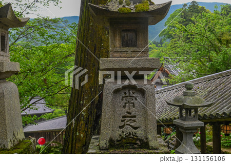 長谷寺－シャクナゲ咲く古刹の風景 131156106