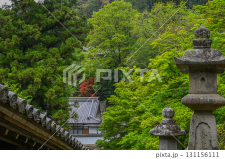 長谷寺-シャクナゲ咲く古刹の風景 長谷寺-シャクナゲ咲く古刹の風景 131156111