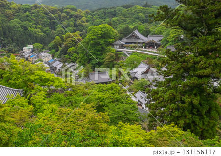 長谷寺-シャクナゲ咲く古刹の風景 長谷寺-シャクナゲ咲く古刹の風景 131156117