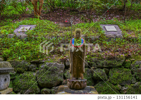 長谷寺－シャクナゲ咲く古刹の風景 131156141