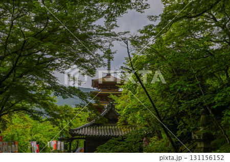 長谷寺-シャクナゲ咲く古刹の風景 長谷寺-シャクナゲ咲く古刹の風景 131156152