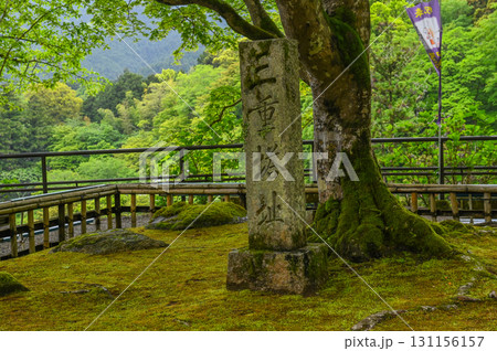 長谷寺-シャクナゲ咲く古刹の風景 長谷寺-シャクナゲ咲く古刹の風景 131156157
