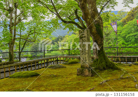 長谷寺-シャクナゲ咲く古刹の風景 長谷寺-シャクナゲ咲く古刹の風景 131156158