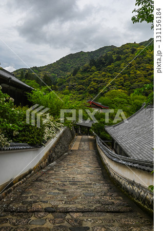 長谷寺-シャクナゲ咲く古刹の風景 長谷寺-シャクナゲ咲く古刹の風景 131156184