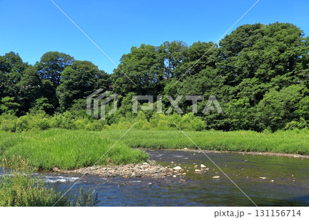 二戸市 馬淵川近隣公園 昼の水辺 《岩手》 二戸市 馬淵川近隣公園 昼の水辺 《岩手》 131156714