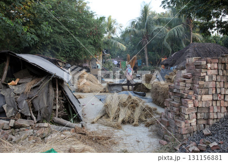 Rice is threshed, winnowed in Baidyapur, West Bengal, India 131156881