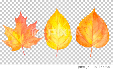 套下落的葉子 套下落的葉子 131156890