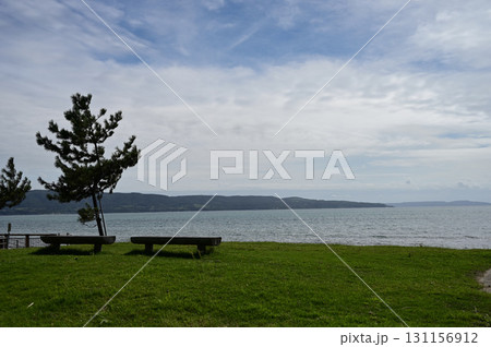 海辺の公園 131156912