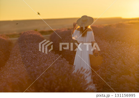 Lavender Fields Woman Sunset: A woman in a white dress enjoys a sunset stroll through a lavender field, likely for leisure and photography. Lavender Fields Woman Sunset: A woman in a white dress enjoys a sunset stroll through a lavender field, likely for leisure and photography. 131156995