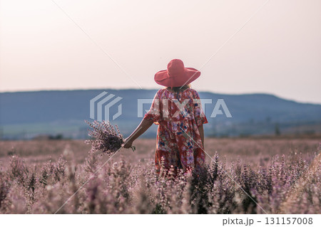 Lavender Field Woman Hat: Summer Harvesting Purple Flowers Outdoors Lavender Field Woman Hat: Summer Harvesting Purple Flowers Outdoors 131157008