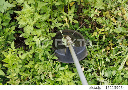 草刈りイメージ 131159084