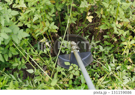 草刈りイメージ 草刈りイメージ 131159086