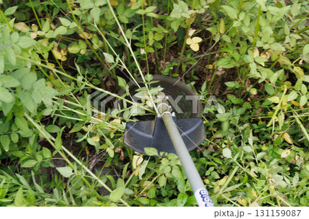 草刈りイメージ 草刈りイメージ 131159087